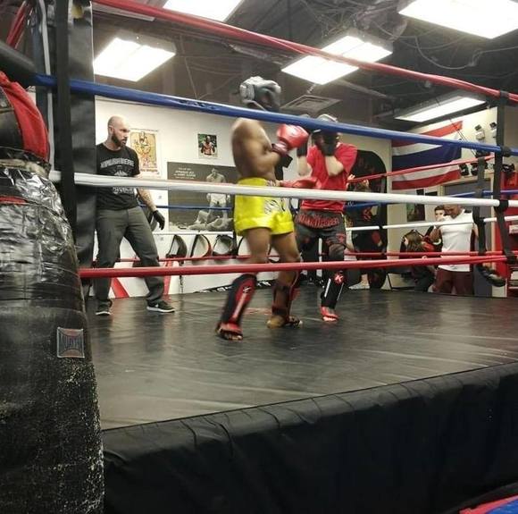 Meet your Posher, Musa - Picture 1 of 1